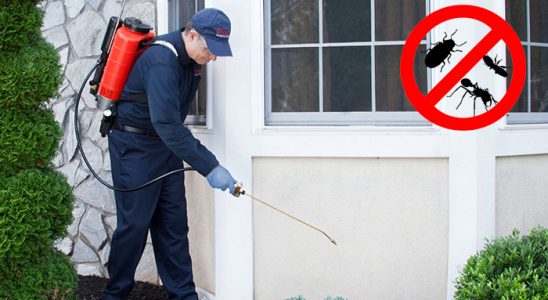 Gölbaşı Dezenfeksiyon böcek ilaçlama ve haşere kontrolü — ilaclama-tr.com